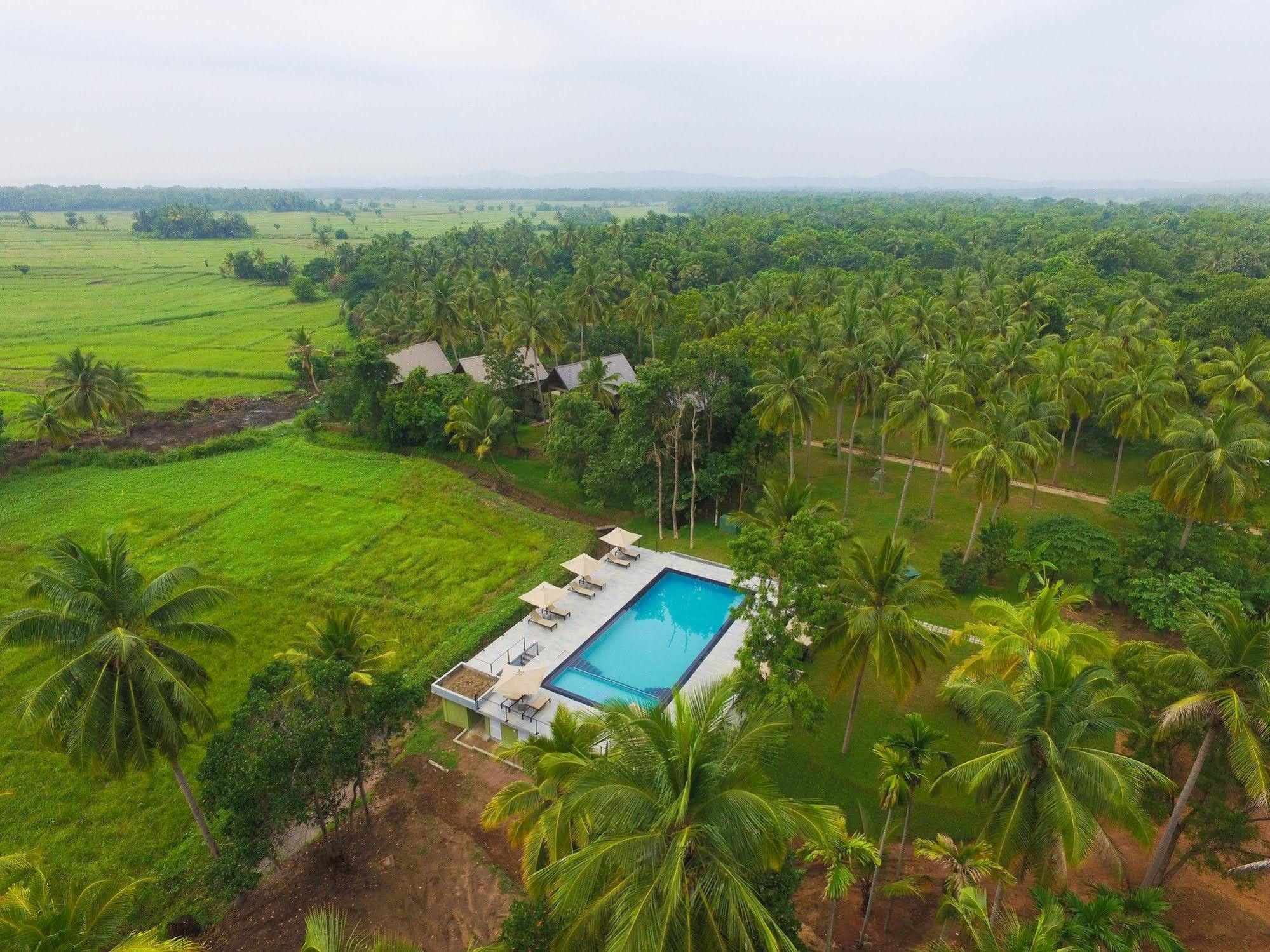 Miracle Resorts & Villas Polonnaruwa Bagian luar foto